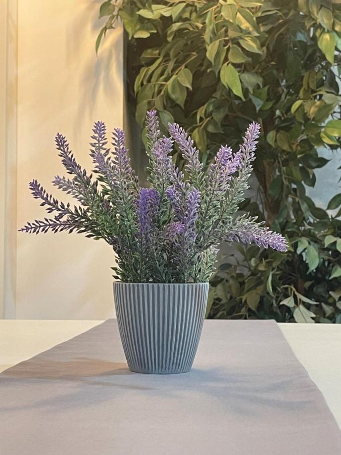 Apartamento Banferra Jerez de la Frontera Eksteriør bilde